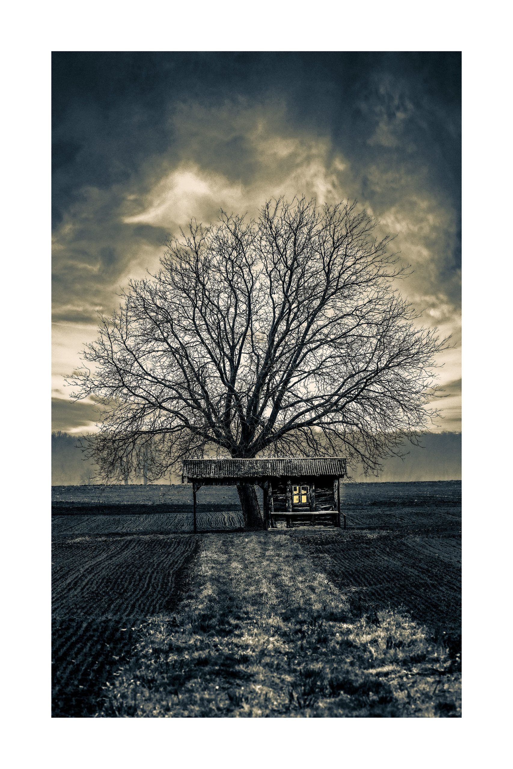 A-La cabane au pied de l'arbre