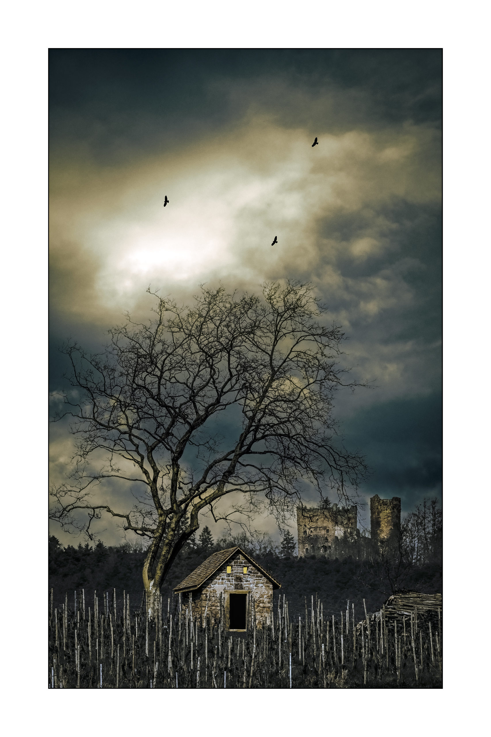 C-A l'ombre du château